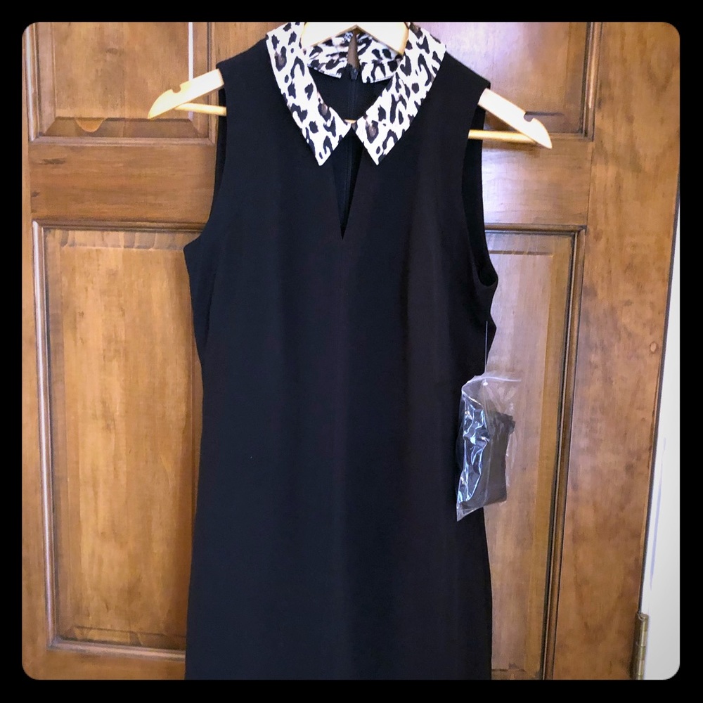 WHBM Little Black  Dress